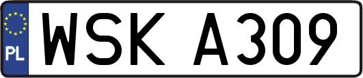 WSKA309