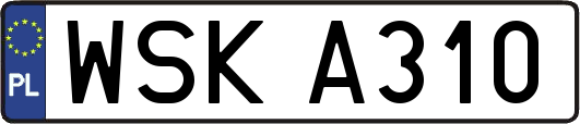 WSKA310