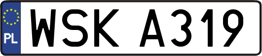 WSKA319