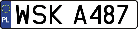 WSKA487