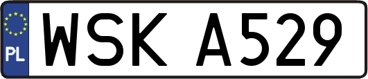 WSKA529