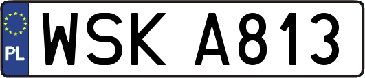 WSKA813