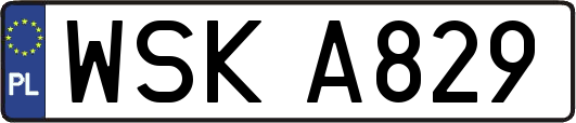 WSKA829
