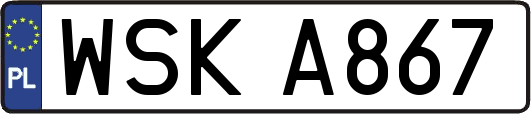 WSKA867