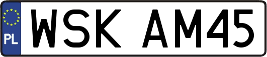 WSKAM45