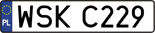 WSKC229