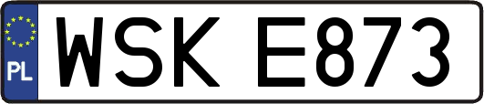 WSKE873