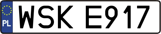 WSKE917