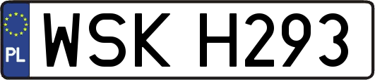 WSKH293