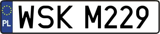 WSKM229