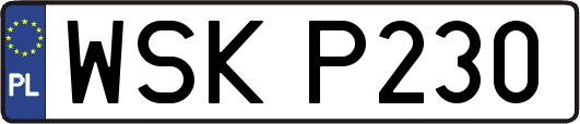 WSKP230