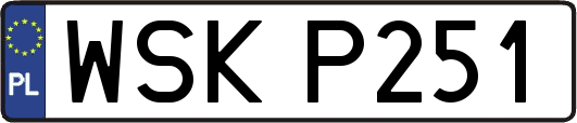 WSKP251