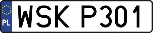 WSKP301