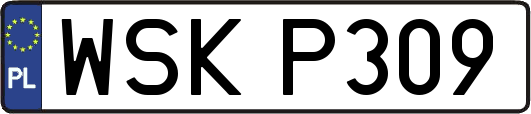 WSKP309