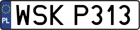 WSKP313