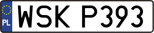 WSKP393