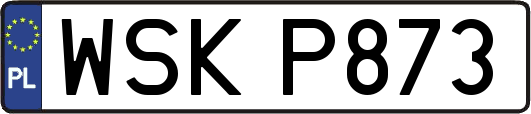 WSKP873