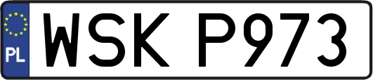WSKP973