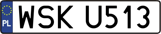 WSKU513