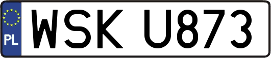 WSKU873