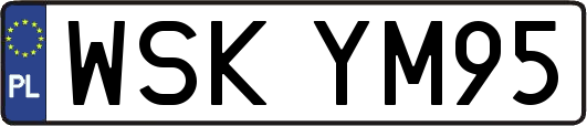 WSKYM95