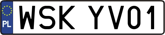 WSKYV01