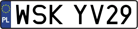 WSKYV29