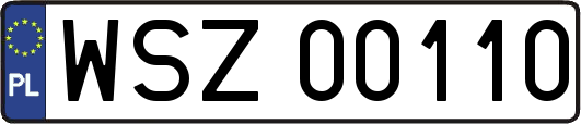WSZ00110