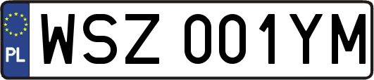 WSZ001YM