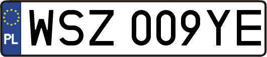 WSZ009YE