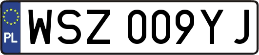 WSZ009YJ