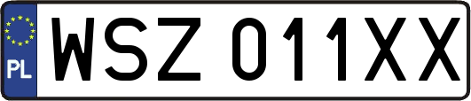 WSZ011XX
