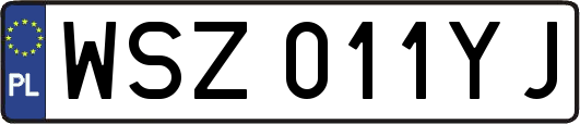 WSZ011YJ