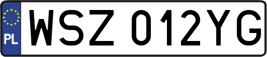 WSZ012YG