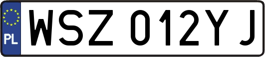 WSZ012YJ