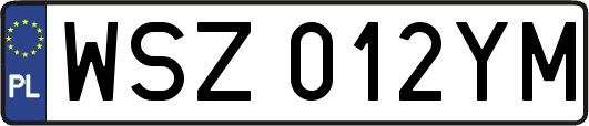 WSZ012YM