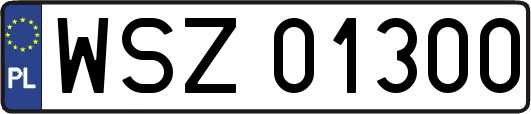 WSZ01300