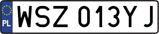 WSZ013YJ