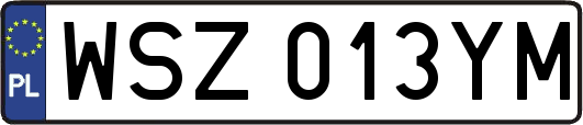 WSZ013YM