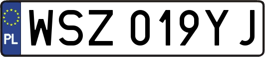 WSZ019YJ