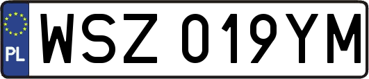 WSZ019YM