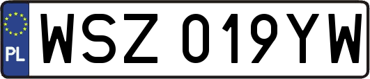 WSZ019YW