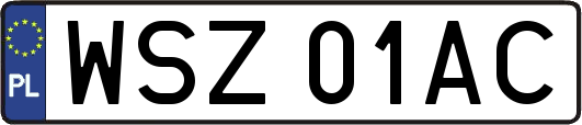 WSZ01AC