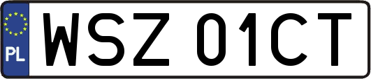 WSZ01CT