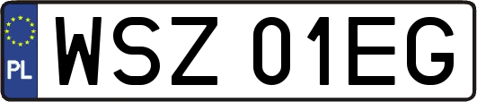 WSZ01EG