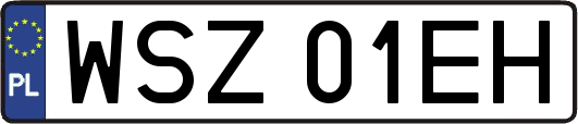 WSZ01EH