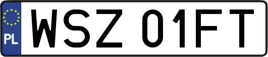 WSZ01FT