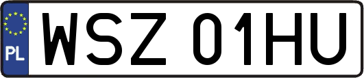 WSZ01HU