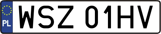 WSZ01HV