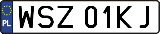 WSZ01KJ